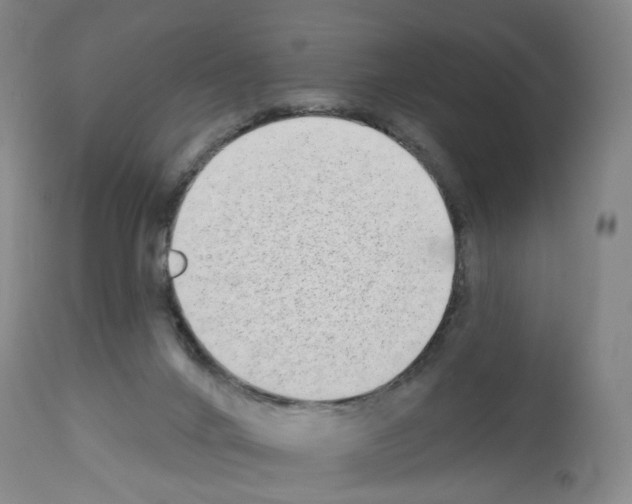 X0000112940024200910051206