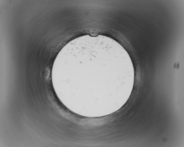 X0000112940025200910051206