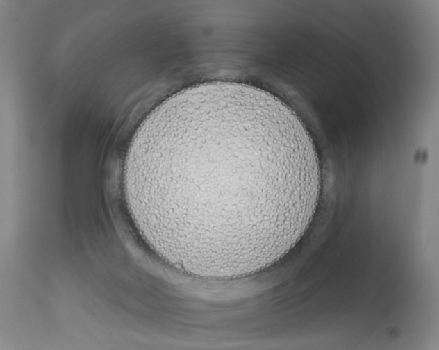 X0000112940026200910051206
