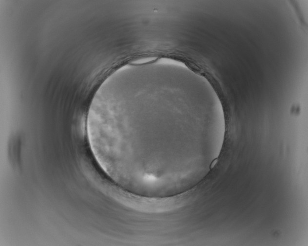 X0000112940027200910051206