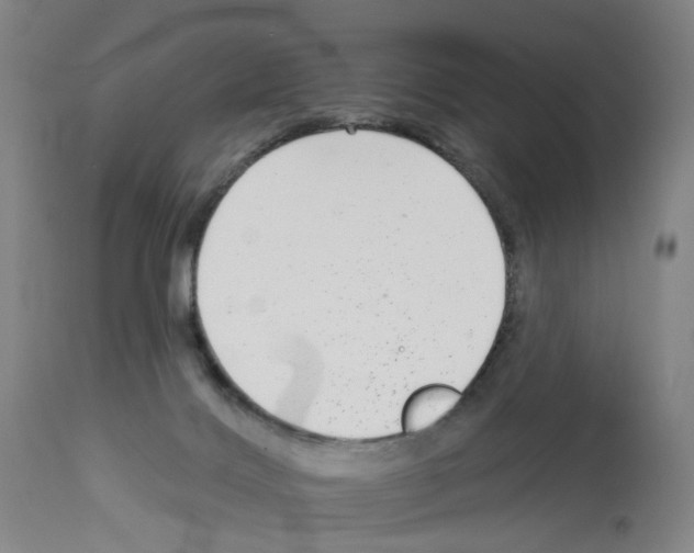 X0000112940028200910051206