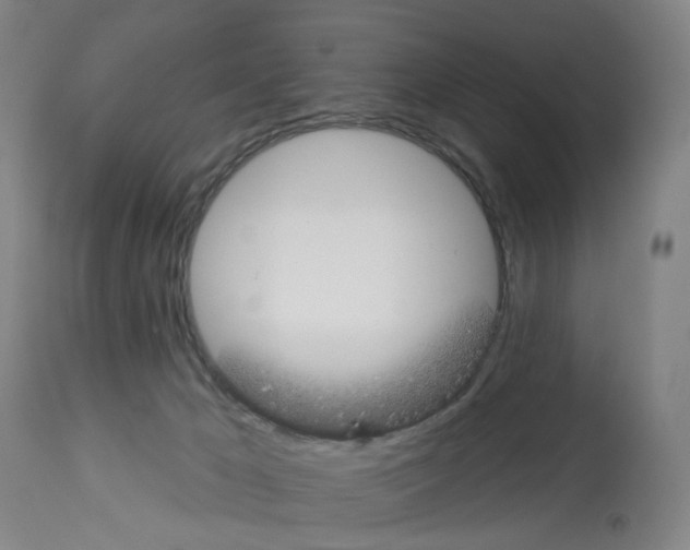 X0000112940029200910051206