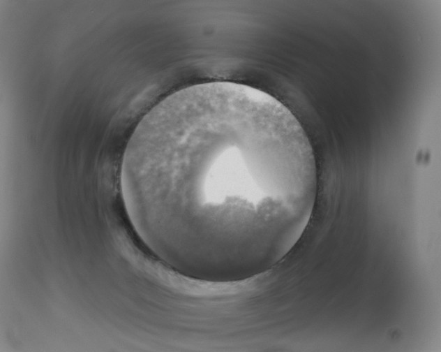 X0000112940031200910051206