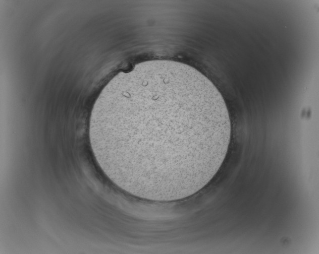 X0000112940032200910051206