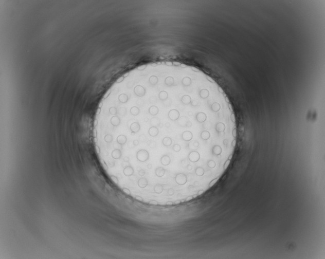 X0000112940034200910051206