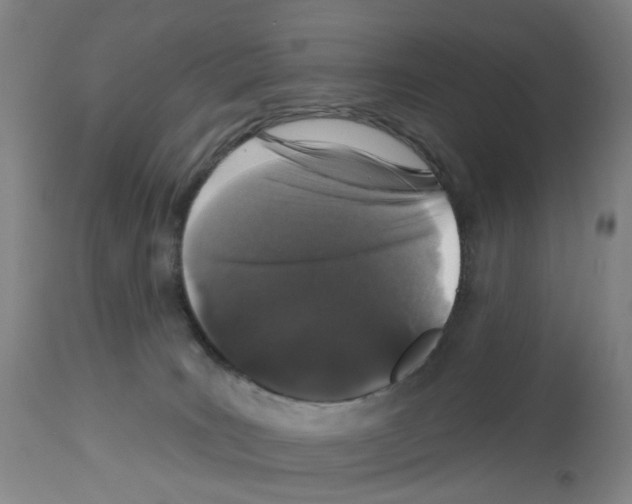 X0000112940035200910051206