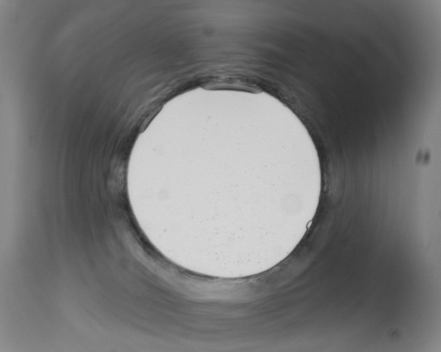 X0000112940036200910051206