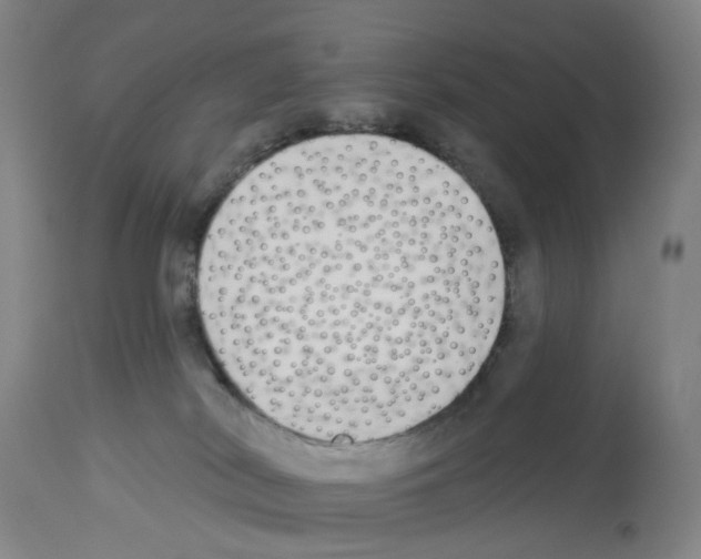 X0000112940038200910051206