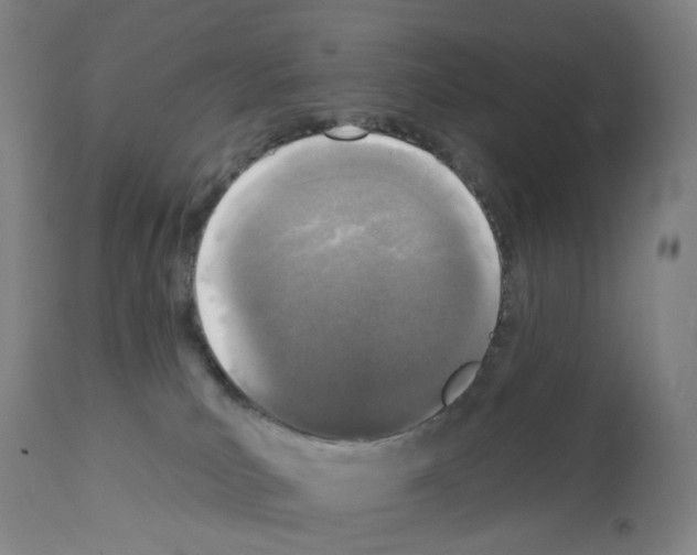 X0000112940039200910051206