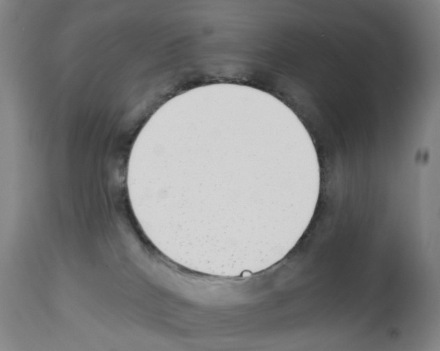 X0000112940040200910051206