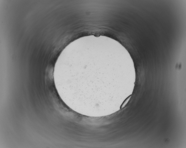 X0000112940041200910051206