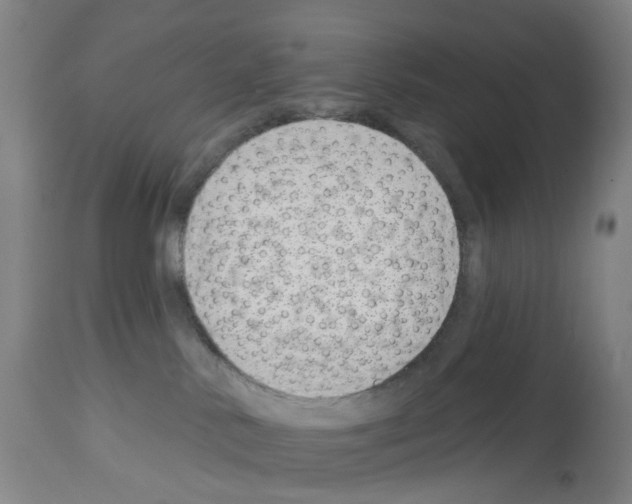X0000112940042200910051206