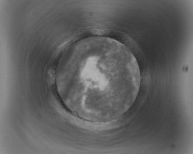 X0000112940043200910051206
