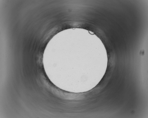 X0000112940044200910051206