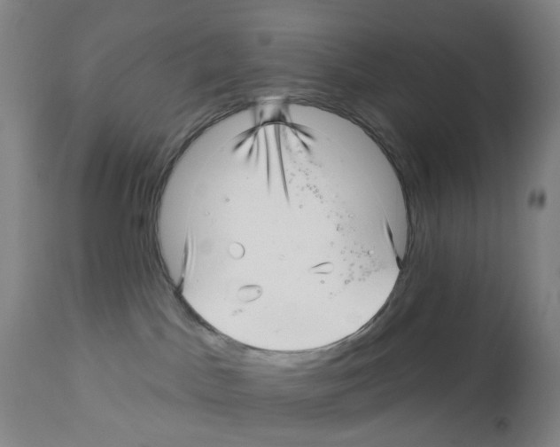 X0000112940045200910051206