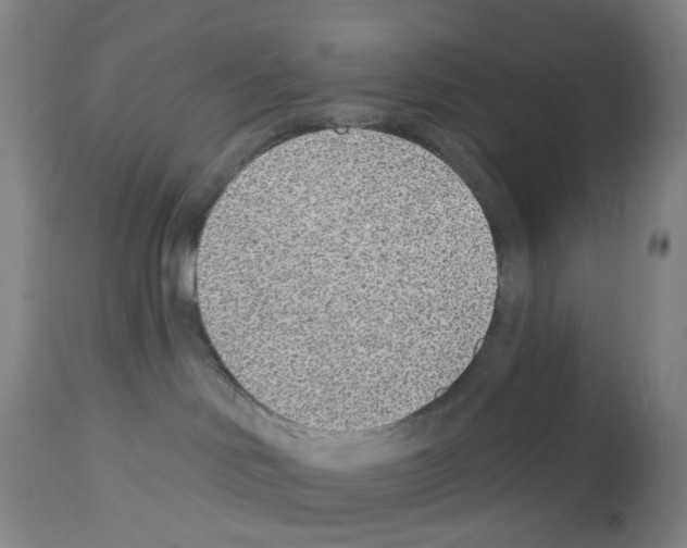 X0000112940046200910051206