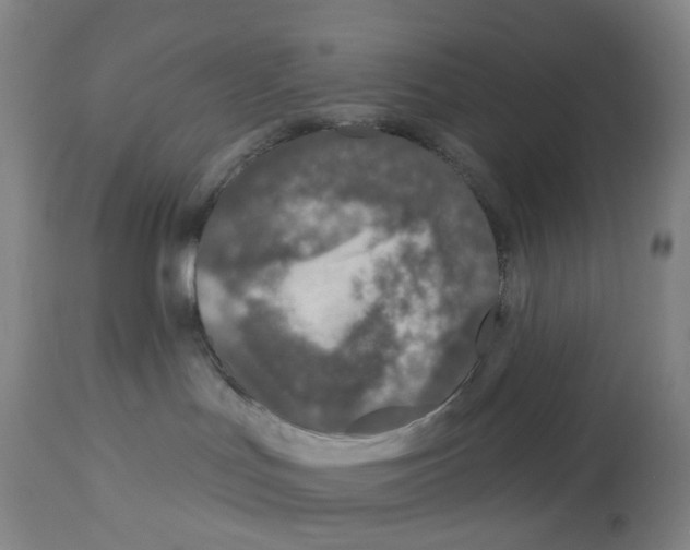 X0000112940047200910051206