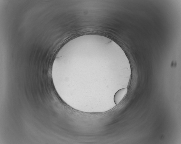 X0000112940048200910051206