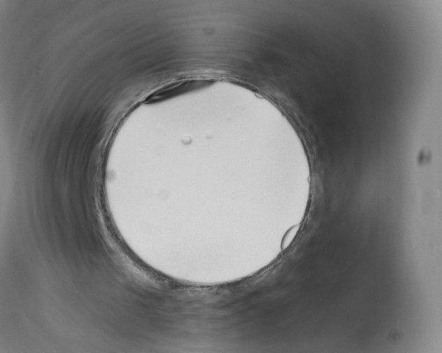 X0000112940049200910051205