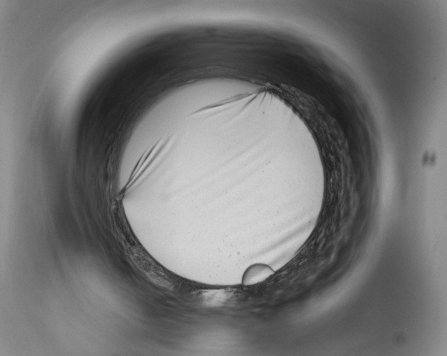 X0000112940050200910051205