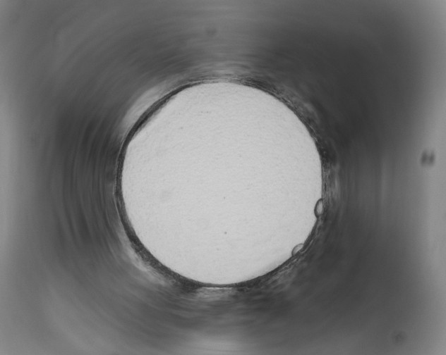 X0000112940051200910051205