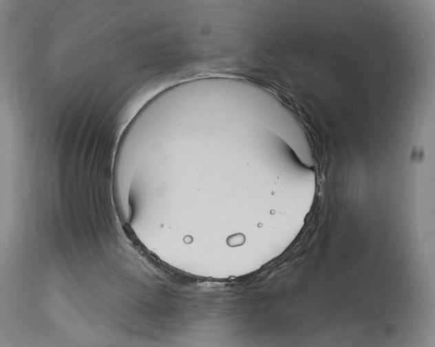 X0000112940052200910051205