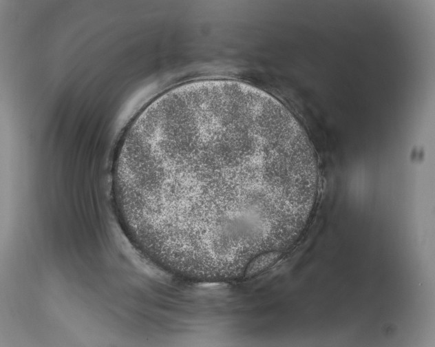 X0000112940053200910051205