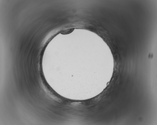 X0000112940054200910051205