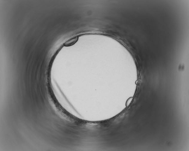 X0000112940055200910051205