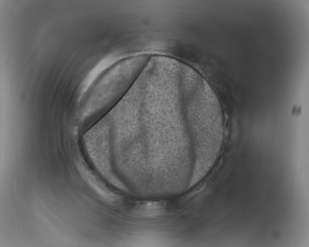 X0000112940056200910051205