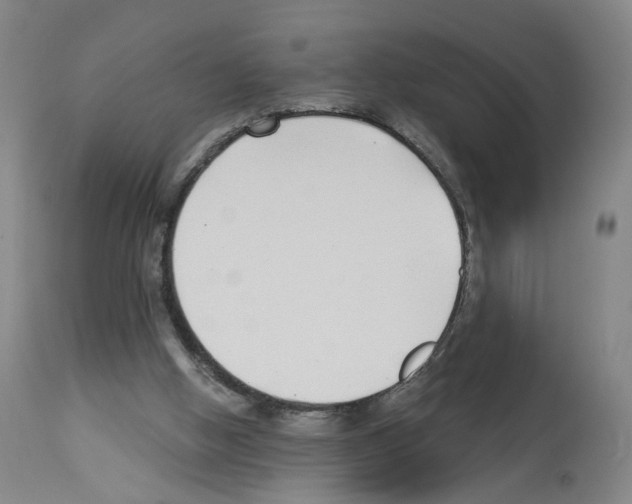 X0000112940058200910051205
