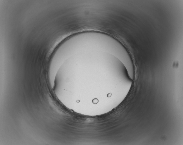 X0000112940060200910051205
