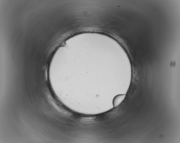 X0000112940061200910051205