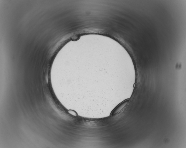X0000112940062200910051205