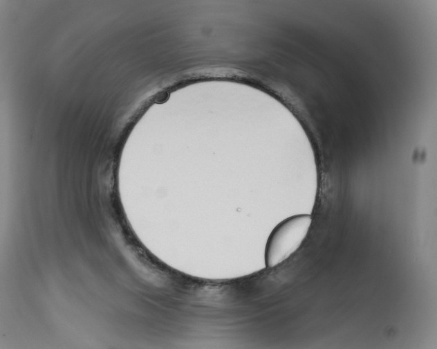 X0000112940063200910051205