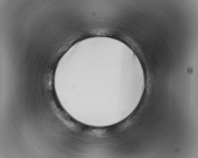 X0000112940065200910051205
