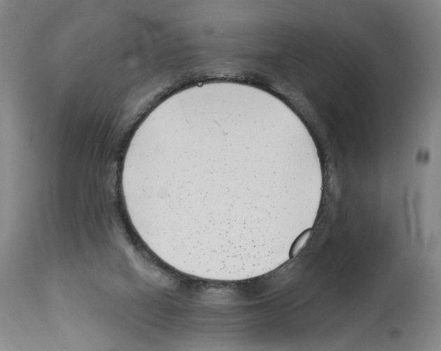 X0000112940066200910051205