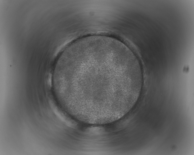 X0000112940067200910051205