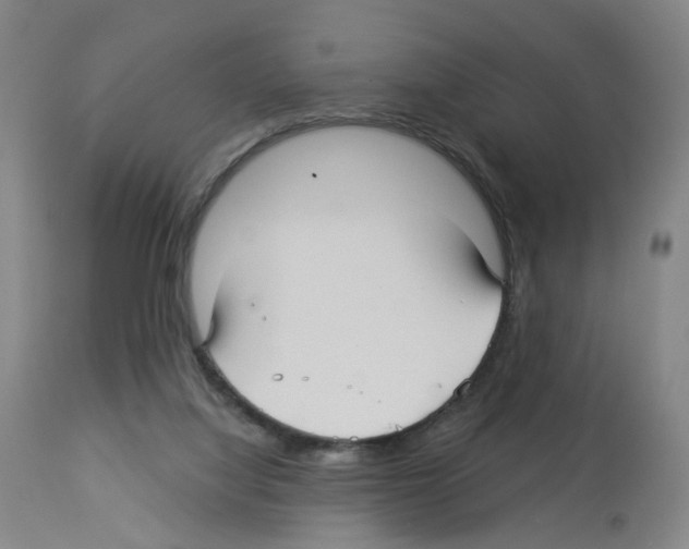 X0000112940068200910051205