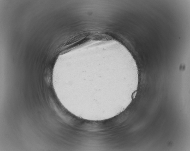 X0000112940069200910051205