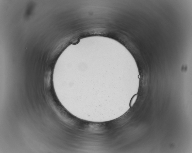 X0000112940070200910051205