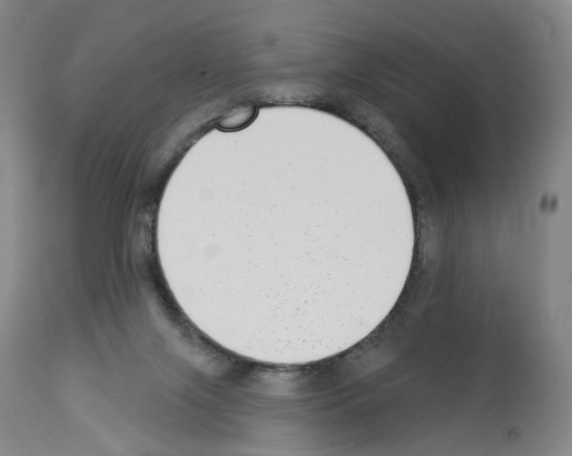 X0000112940071200910051205