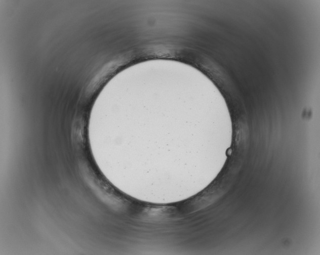 X0000112940072200910051205