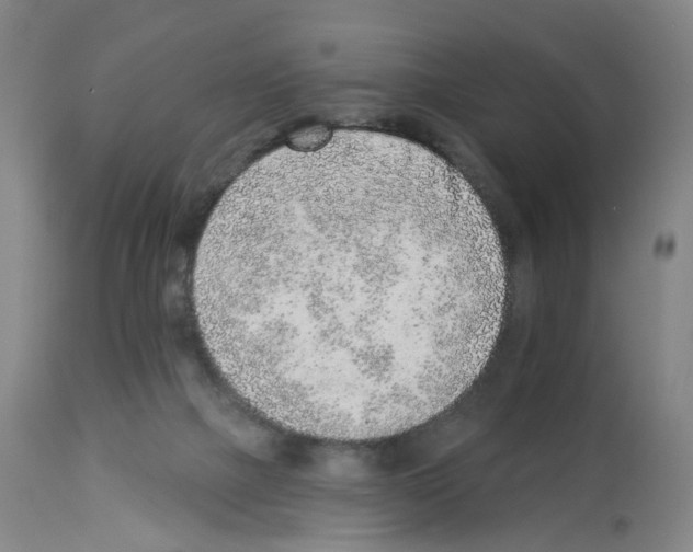 X0000112940073200910051205