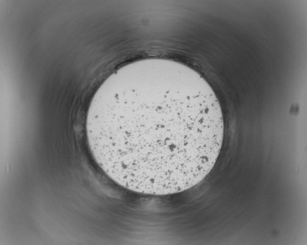 X0000112940074200910051205