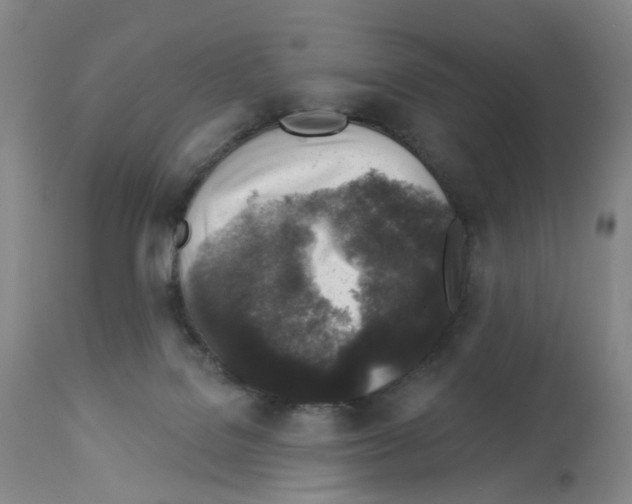 X0000112940076200910051205