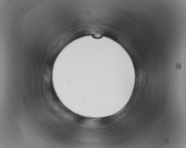X0000112940078200910051205
