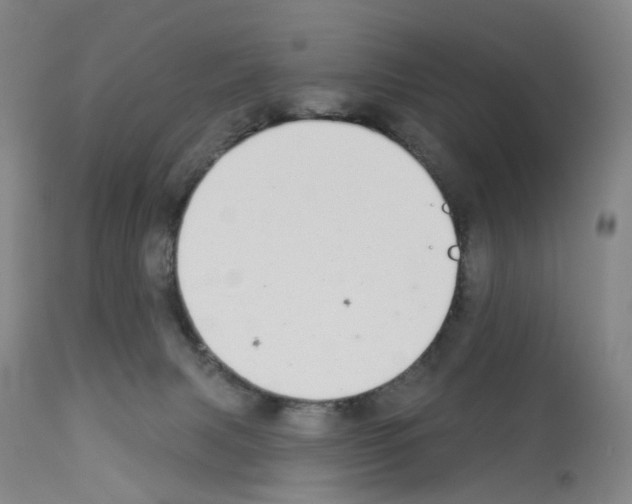 X0000112940079200910051205