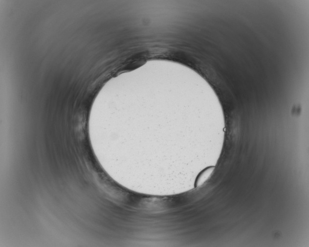 X0000112940082200910051205