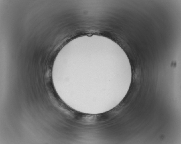 X0000112940084200910051205